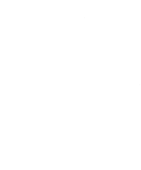 Onildo Dalbosco - Presidente da FCDL/SC